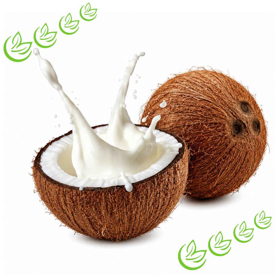 Parfümöl Coconut Cream